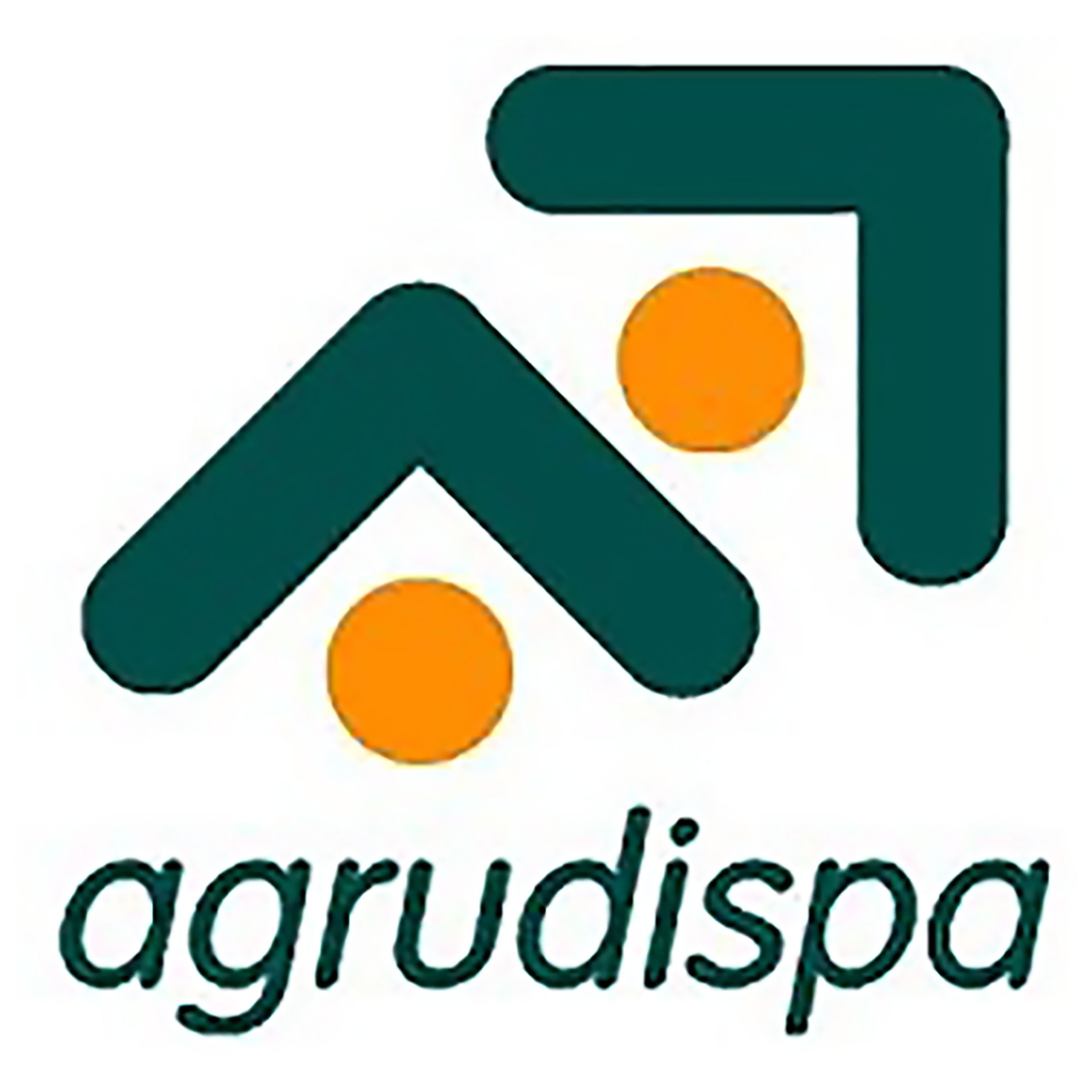 Agrudispa